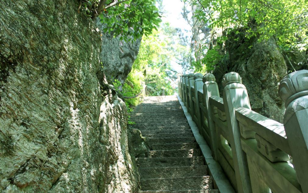 炎炎夏日，莫干山和天目山哪个更适合亲子游6