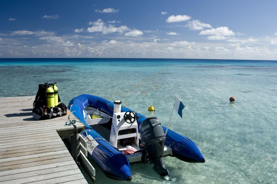 在大溪地潜水有哪些需要注意的事项?1