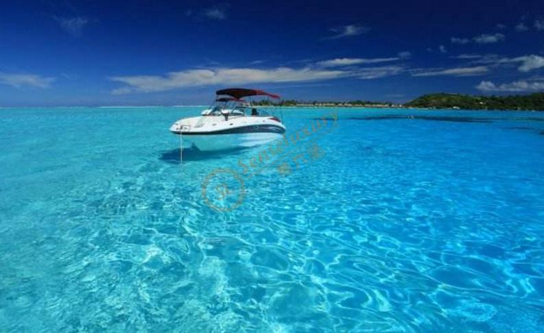 在大溪地潜水有哪些需要注意的事项?3