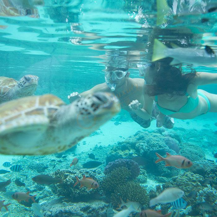 在大溪地潜水有哪些需要注意的事项?5