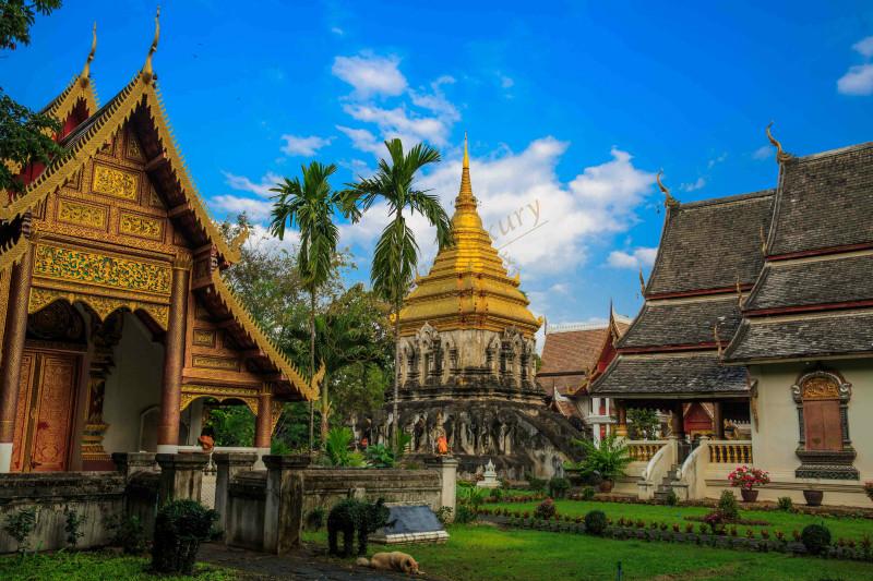 清迈自由行攻略大全，可以纵情happy5