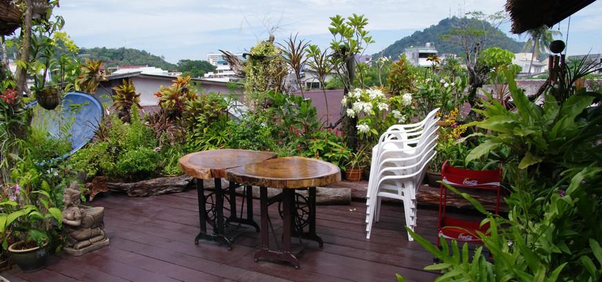 普吉岛的吃喝玩乐最新攻略大全7