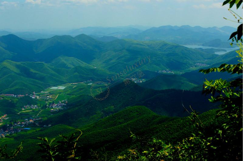 夏季到了，来一场有意义的莫干山亲子游2
