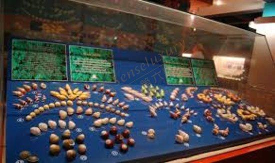 普吉岛除了海滩还有哪些小众景点值得观赏1