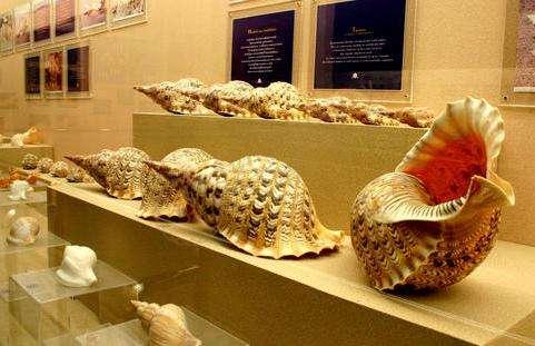 普吉岛除了海滩还有哪些小众景点值得观赏2