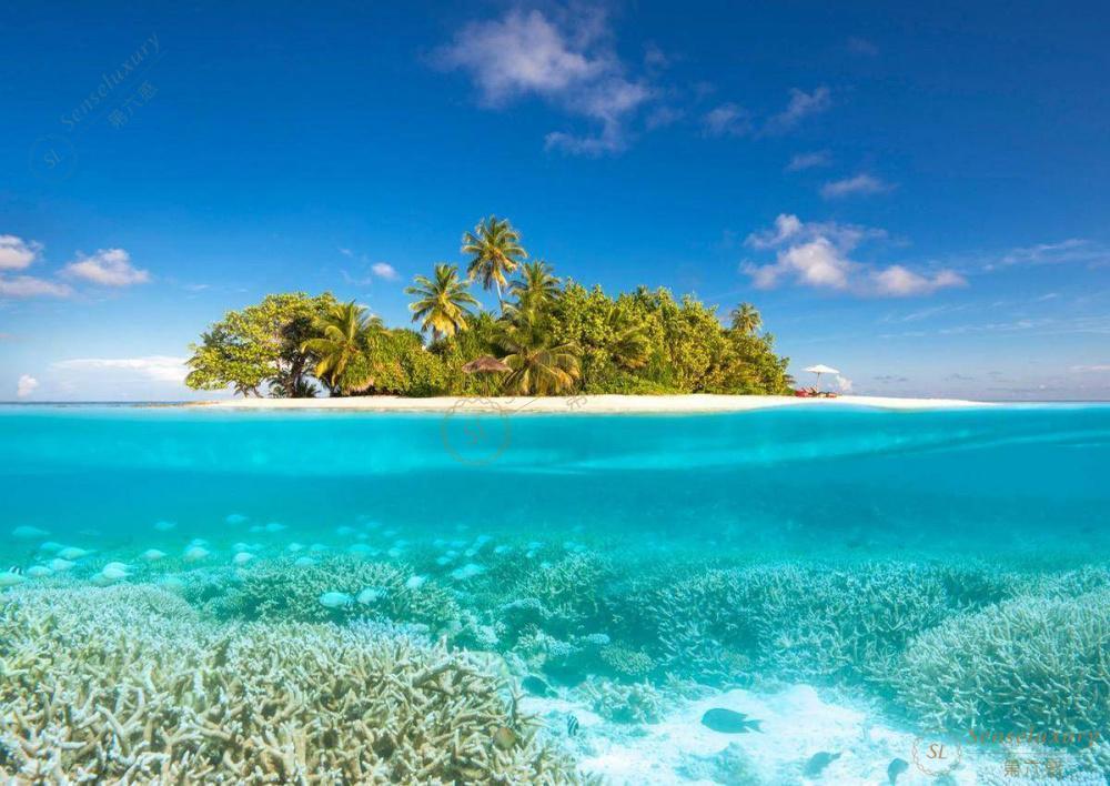 去马尔代夫度蜜月一定要先做好规划1