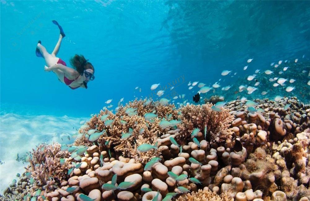 去马尔代夫旅行需要准备哪些出行物品？6