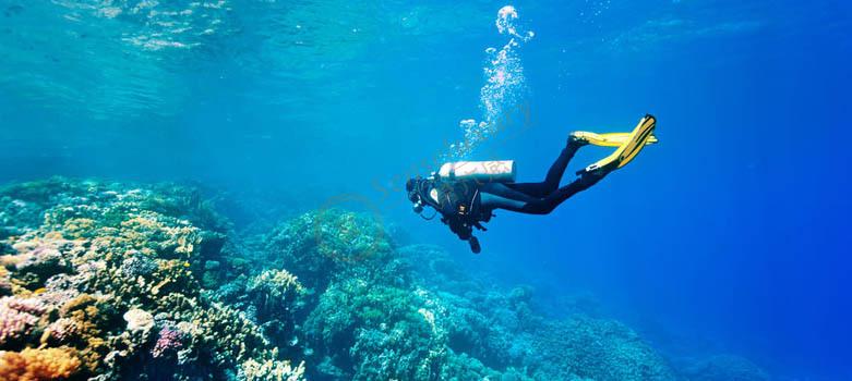 去马尔代夫度假旅游，带上这篇浮潜攻略1