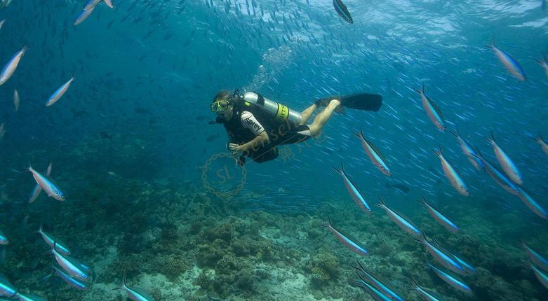 去马尔代夫度假旅游，带上这篇浮潜攻略2