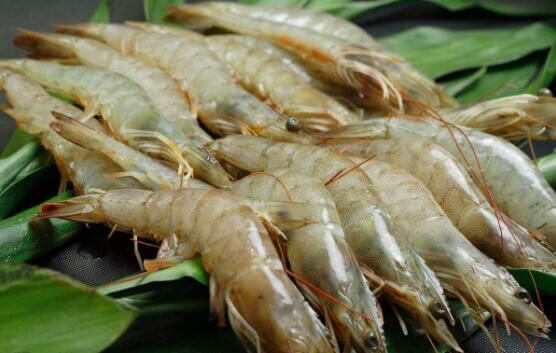 溧阳旅游攻略,全面包含景点、美食、住宿等4