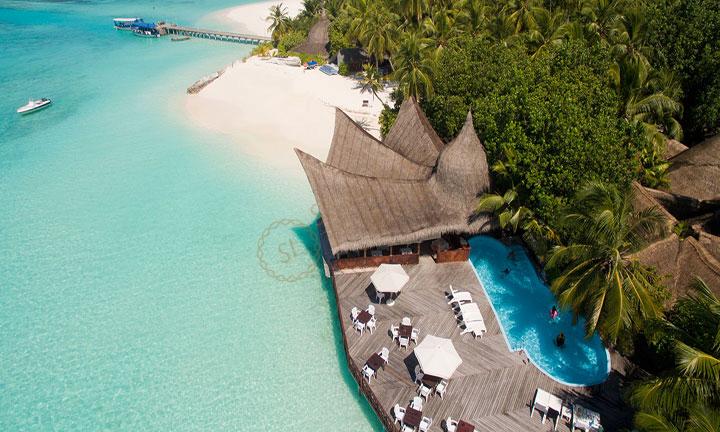 马尔代夫蓝色美人蕉岛是蜜月游的好地方3