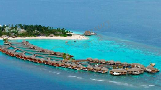 马尔代夫蓝色美人蕉岛是蜜月游的好地方4