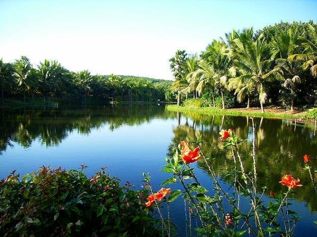 西双版纳,一处隐藏在山顶中的人间秘境2