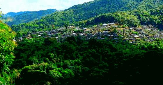 西双版纳,一处隐藏在山顶中的人间秘境3