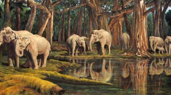 西双版纳,一处隐藏在山顶中的人间秘境5