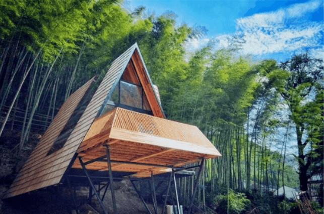 原舍.树蛙部落|在大自然的秘境里长出来的童话屋1