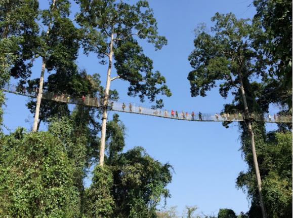 西双版纳,一处隐藏在山顶中的人间秘境7