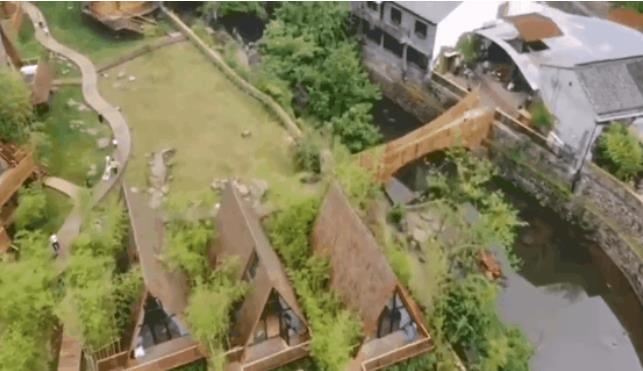 原舍.树蛙部落|在大自然的秘境里长出来的童话屋2