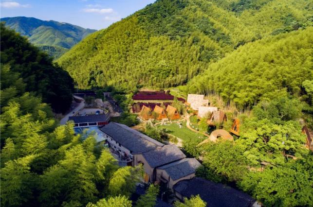 原舍.树蛙部落|在大自然的秘境里长出来的童话屋3