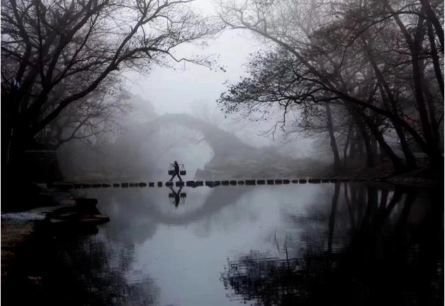 原舍.树蛙部落|在大自然的秘境里长出来的童话屋4