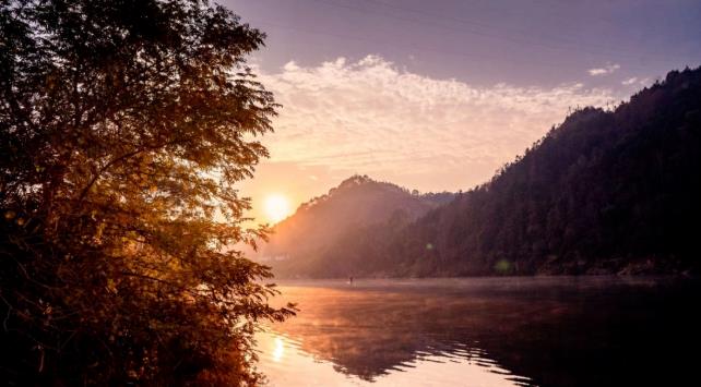 原舍.树蛙部落|在大自然的秘境里长出来的童话屋5