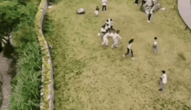 原舍.树蛙部落|在大自然的秘境里长出来的童话屋11