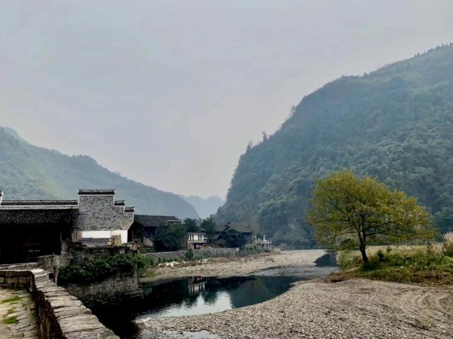 原舍.树蛙部落|在大自然的秘境里长出来的童话屋7