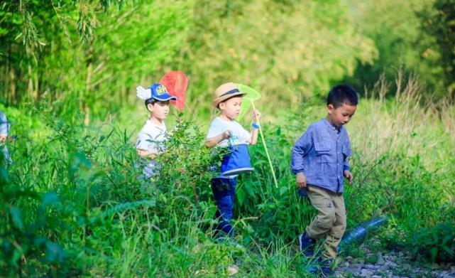原舍.树蛙部落|在大自然的秘境里长出来的童话屋9