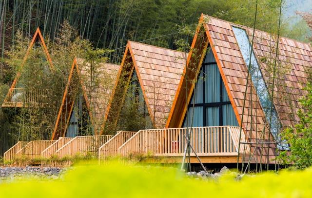 原舍.树蛙部落|在大自然的秘境里长出来的童话屋15