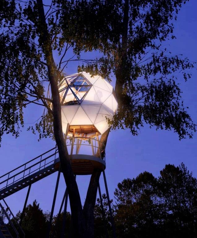 原舍.树蛙部落|在大自然的秘境里长出来的童话屋16