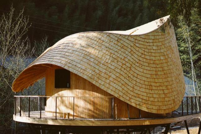 原舍.树蛙部落|在大自然的秘境里长出来的童话屋17