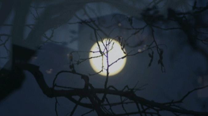 暑期亲子度假去哪儿玩？酒店住宿就看它8