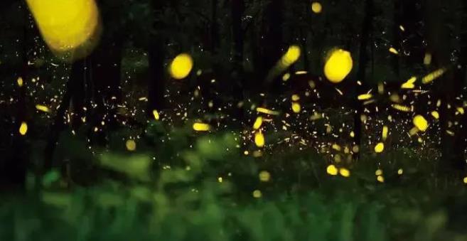 暑期亲子度假去哪儿玩？酒店住宿就看它10