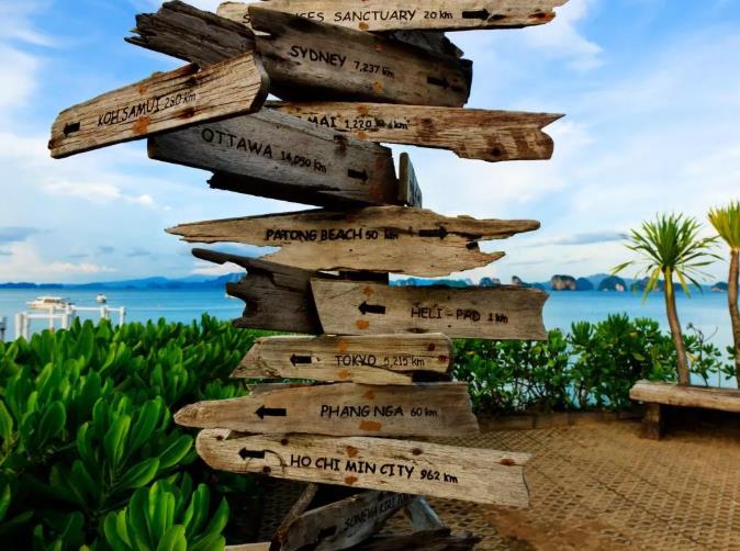 隐秘的阁遥岛六善——留一方净土，心中的白月光18