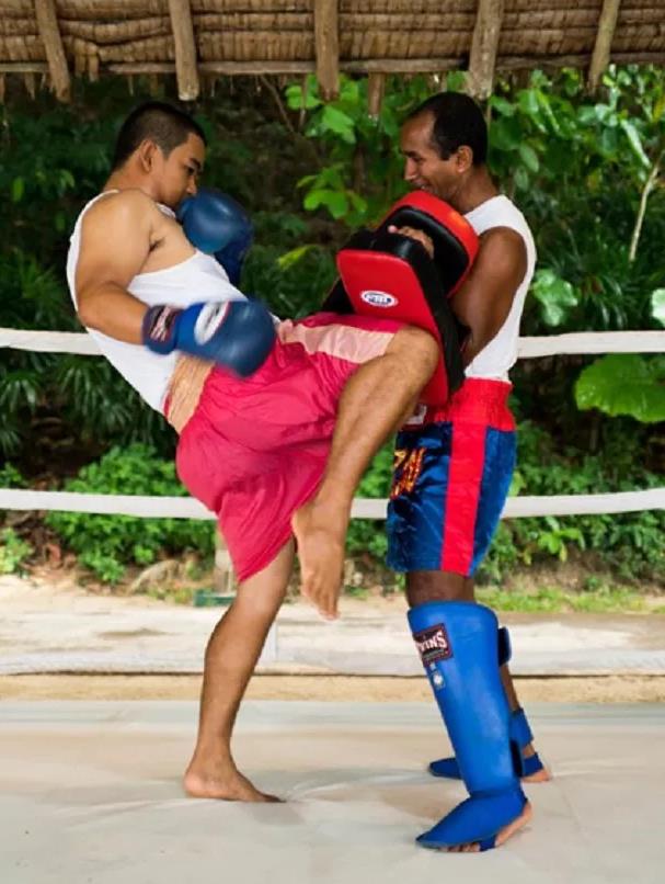 隐秘的阁遥岛六善——留一方净土，心中的白月光20