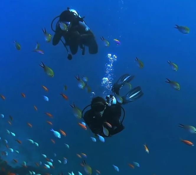 隐秘的阁遥岛六善——留一方净土，心中的白月光23