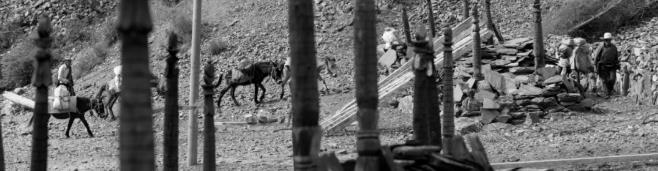 重走茶马古道，体味边陲历史文化圣地6