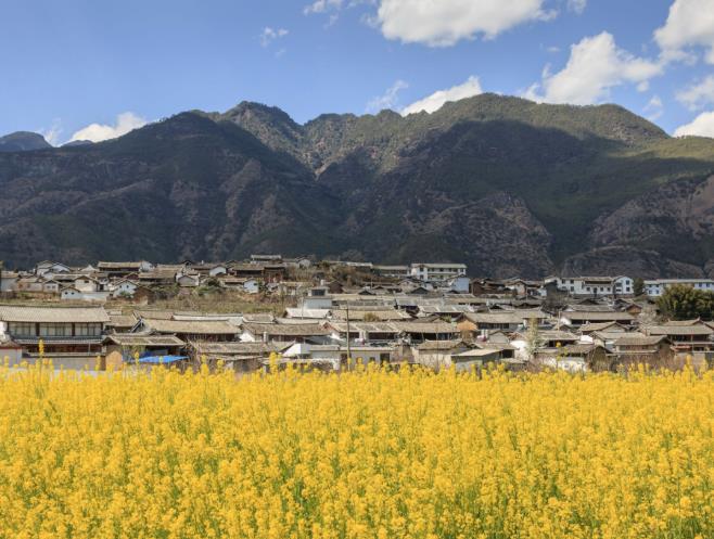 重走茶马古道，体味边陲历史文化圣地12