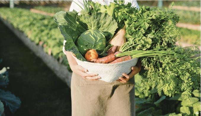 西塘良壤-诠释江南的艺术气息24