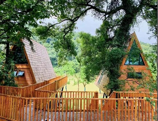 入住树蛙部落,看星江河畔3