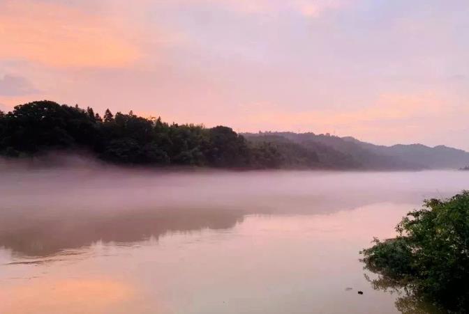 入住树蛙部落,看星江河畔11