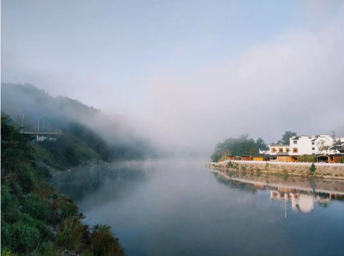 入住树蛙部落,看星江河畔10