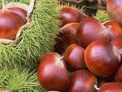 去安吉游玩必然带些什么特产回去呢?4