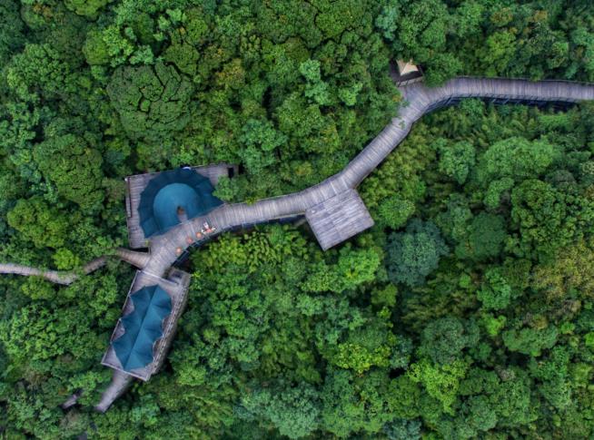 世界自然博物馆,中国这家真正的野奢帐篷你住过吗?1