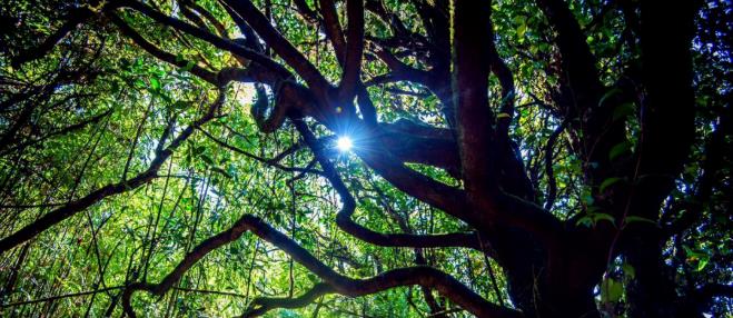 世界自然博物馆,中国这家真正的野奢帐篷你住过吗?4