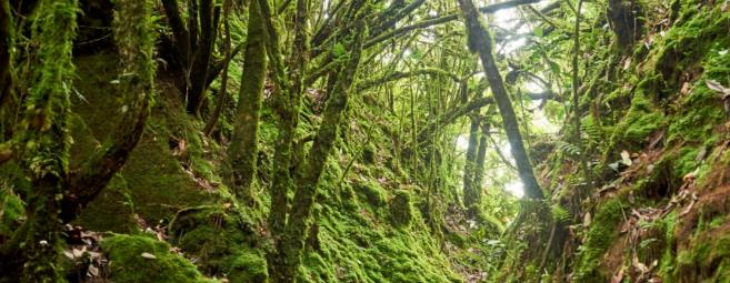 世界自然博物馆,中国这家真正的野奢帐篷你住过吗?6