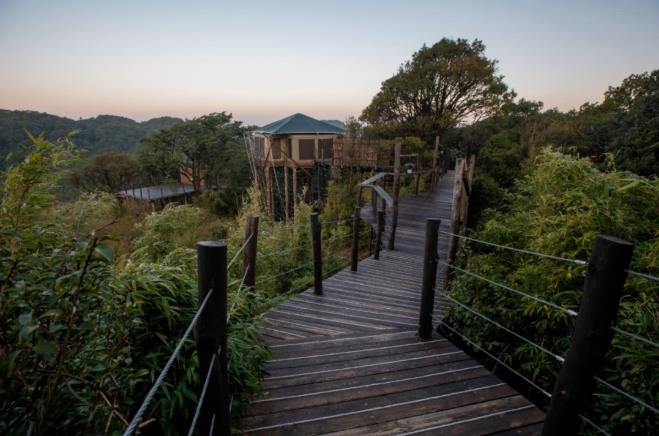 世界自然博物馆,中国这家真正的野奢帐篷你住过吗?20