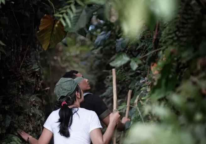 在巴厘岛的雨林帐篷看夕阳/晨光/听鸟叫13