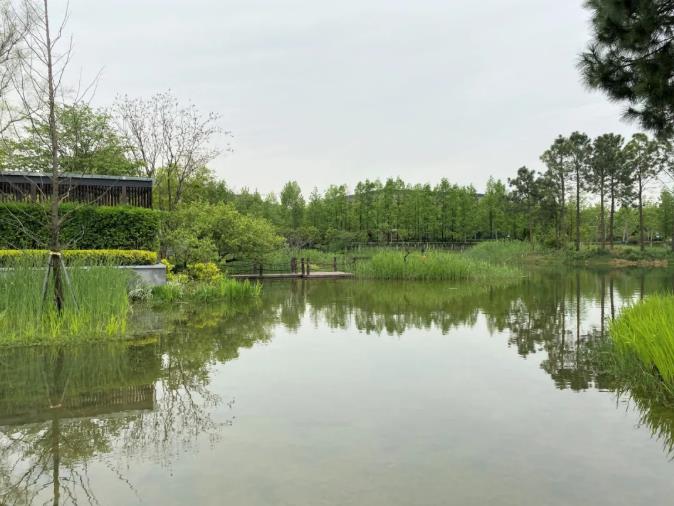 夏日畅玩，去乌镇阿丽拉体验诗中慢生活8