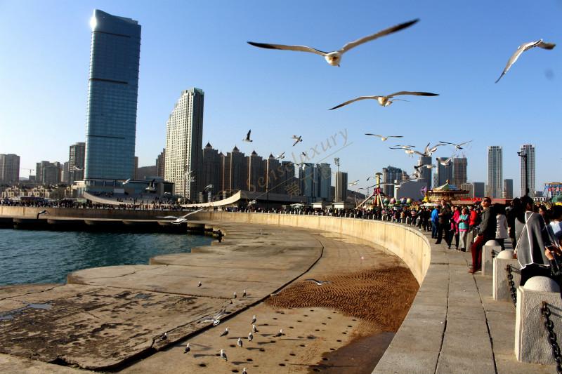 大连暑假周边游的旅游景点都有哪些值得推荐的？4